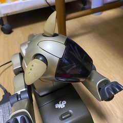 SONY　AIBOの画像