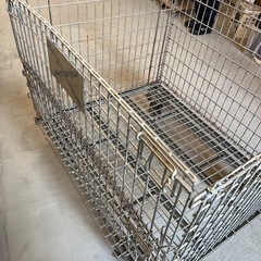 パレテーナ1①の画像