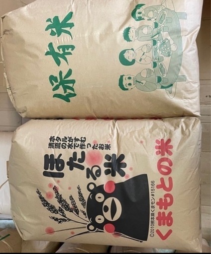 お米　熊本県和水産　令和7年　新米ヒノヒカリ30kg