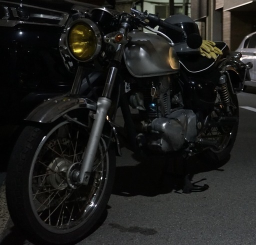 早い者勝ち　交換可能 エストレヤ　250