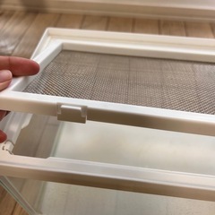 ゲージ　爬虫類
の画像