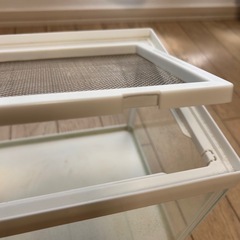 ゲージ　爬虫類
の画像
