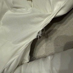 【YUUNYSLEEP】ユニースリープ　　お譲り先決まりましたの画像