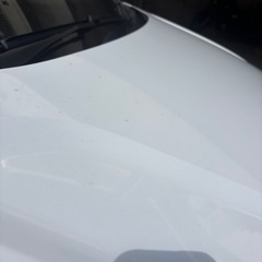 洗車・コーティングの画像