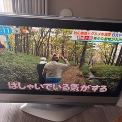 パナソニック　液晶　32Vの画像