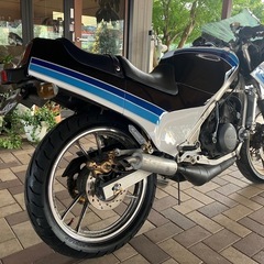 SUZUKI ガンマ250γ GJ21B 85年式　Ⅲ型　カスタム　オールペイント　イカリングLED丸目ヘッドライト&ワンオフフロントカウル　 2ストの画像