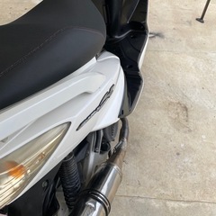 シグナス
の画像