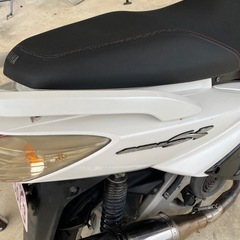 シグナス
の画像