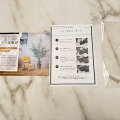 プレミアム光触媒フェイクグリーン ベンジャミン 8枝 高さ：160cm 幅：80cm 奥行：70cmの画像