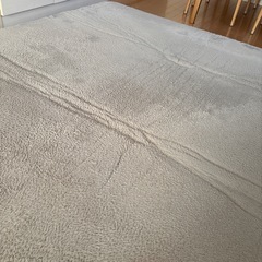 ニトリ　ラグ　Nウォーム　秋冬用　200×240cm  ウレタンフォーム入り　滑り止め付きの画像