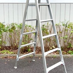 長谷川工業　伸縮式脚立　６尺の画像