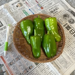 野菜　本日15:30獲れたて！　　の画像