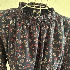 ワンピース①の画像