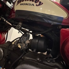 Z50J　モンキー の画像