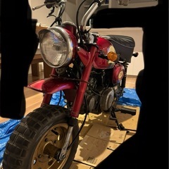 Z50J　モンキー の画像