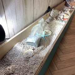 海を感じる花壇の画像