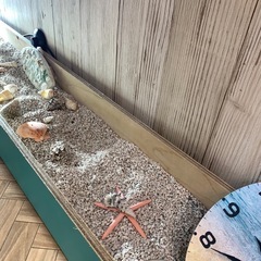 海を感じる花壇の画像