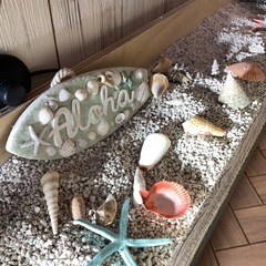 海を感じる花壇の画像