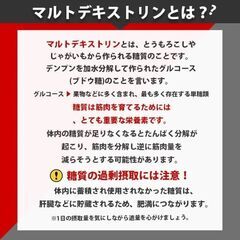 MAD PROTEIN マッドプロテイン マルトデキストリン カーボパウダー 1キロの画像