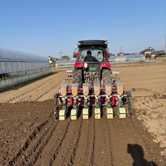 新米7年産新潟コシヒカリ30kg 節水型乾田直播栽培の画像