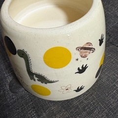 爬虫類ハウス 小型ヘビやレオパ用の画像