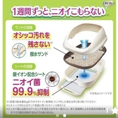 ⭐︎未使用⭐︎キャット　トイレの画像