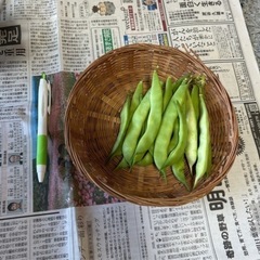 野菜　本日15:30獲れたて！の画像