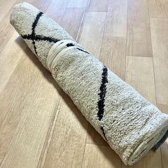 ニトリほこりが取れやすい洗えるラグ