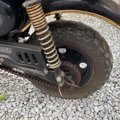 希少車
ブラックモンキーの画像