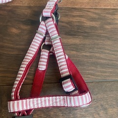 ペット　ハーネス　2の画像