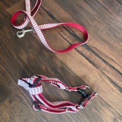 ペット　ハーネス　2の画像