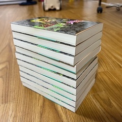 ジョジョの奇妙な冒険文庫版8〜17巻第3部スターダストクルセイダーズの画像