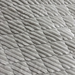 カーペットの画像