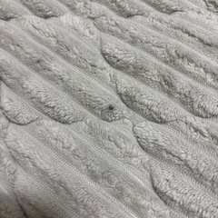 カーペットの画像