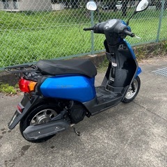 HONDA TACT ホンダ　タクトベーシック　AF75 美車の画像