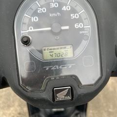 HONDA TACT ホンダ　タクトベーシック　AF75 美車の画像