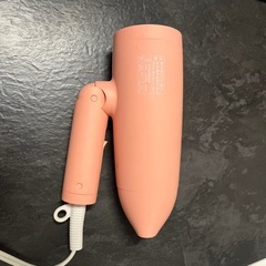 SALONIA SPEEDY ION DRYERヘアドライヤーの画像