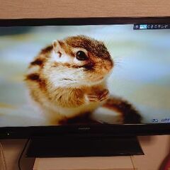 シャープ【定番の３２型】LED液晶テレビは✨✨きれいだ✨✨型式 LC-32H10の画像