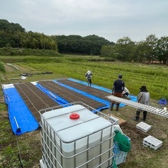 【在庫限り】玄米　新米　ヒノヒカリ　30キ ロ　２０２５年産　の画像