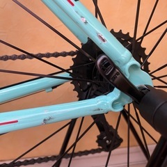  Bianchi ベルガモの画像