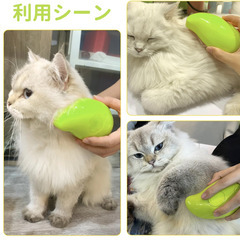 🐾【新品未使用】LUPAPA 猫スチームブラシ 3in1 蒸し猫ブラシ 充電式 グリーン 猫 犬 グルーミングブラシ 抜け毛取り 静電気防止 USB充電 ペットブラシ 猫くし 犬くし 長毛 短毛 スチームブラシの画像