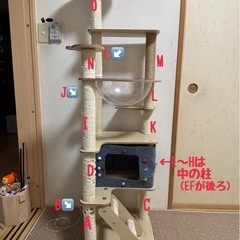 キャットタワー  透明宇宙船ボウル 小部屋あり✨の画像