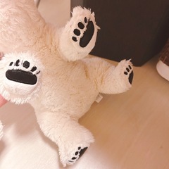 カロラータ　ホッキョクグマ　ぬいぐるみ　しろくまの画像