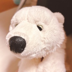 カロラータ　ホッキョクグマ　ぬいぐるみ　しろくまの画像