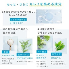 ファンケル　トライアルセットの画像