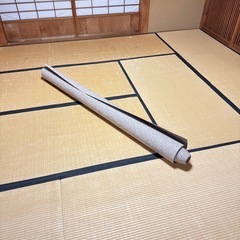 パンチカーペット (182×700cm)の画像