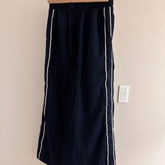 チャオパニック セットアップの画像