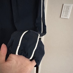 チャオパニック セットアップの画像