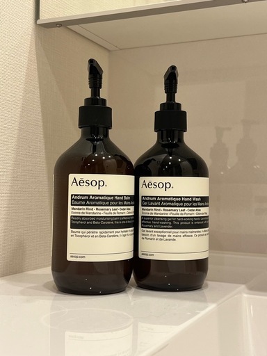 美品　Aesop イソップ アンドラムデュエット
