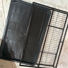 未使用 犬　おトイレ　の画像